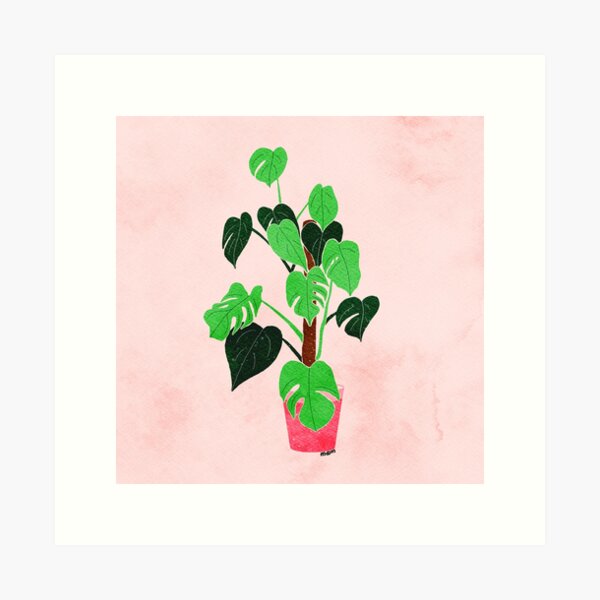 Vista previa del artículo con la obra «Ilustración digital de una planta de interior Monstera en color rosa», diseñado y vendido por NAYANA S KUMAR.