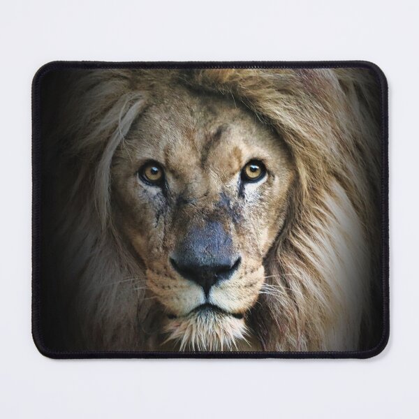 Item preview, Lion King designed and sold by Joanne wilde.