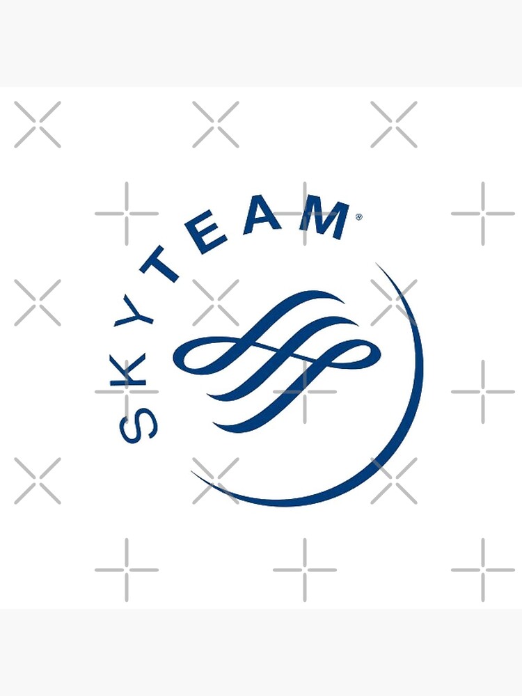 Airline Policies and Services | SkyTeam