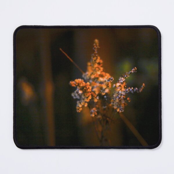 Item preview, Looking - A View designed and sold by Carl Gaynor.