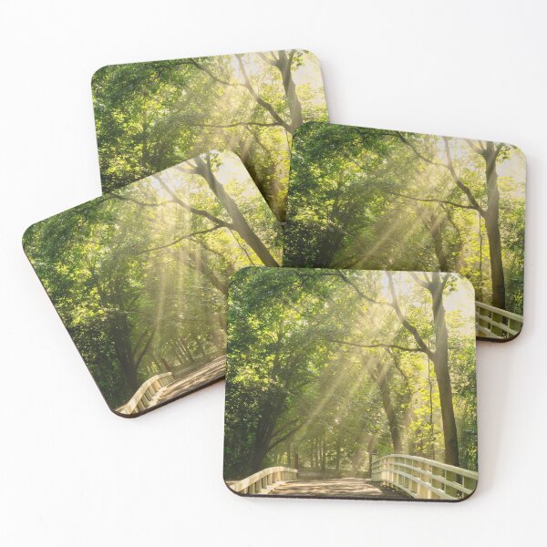 Item preview, Bridge of Light designed and sold by KoenBoelrijk.
