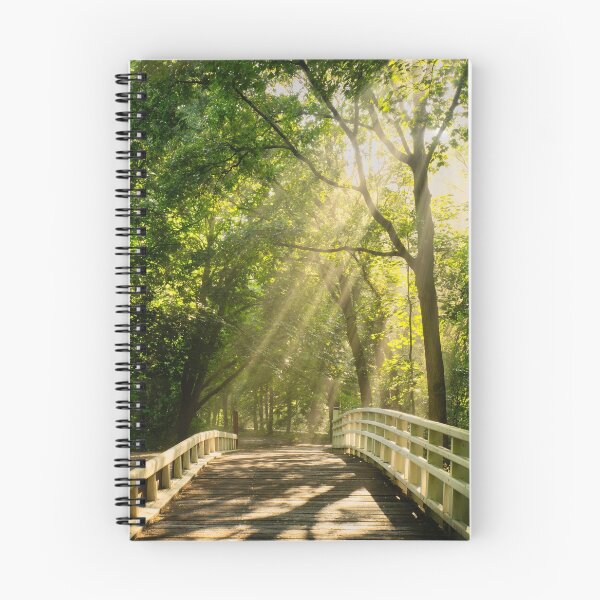Item preview, Bridge of Light designed and sold by KoenBoelrijk.