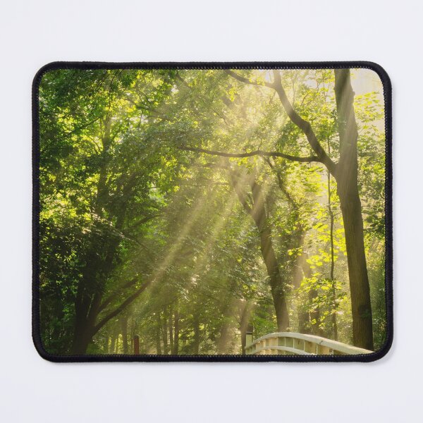 Item preview, Bridge of Light designed and sold by KoenBoelrijk.