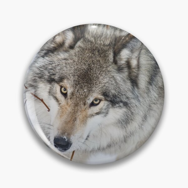 Item preview, Timber Wolf designed and sold by Michael Cummings.