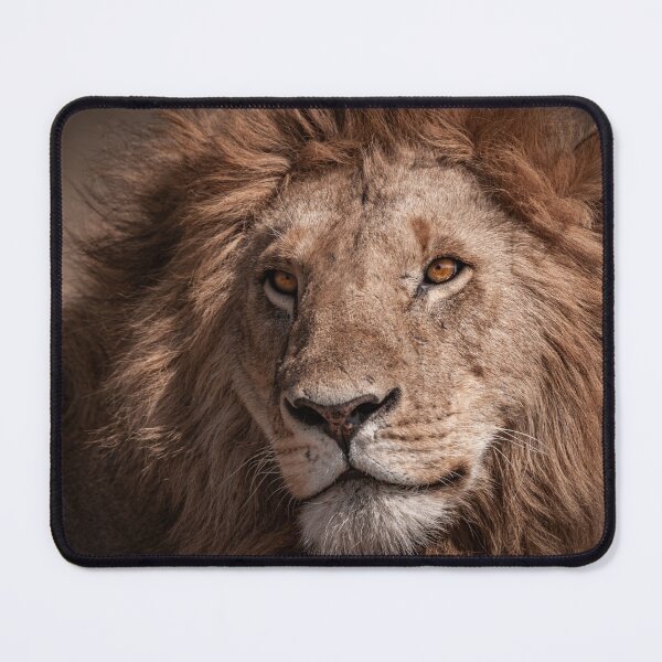 Item preview, The ruler of the savannah - the lion king. designed and sold by Ingo Gerlach.