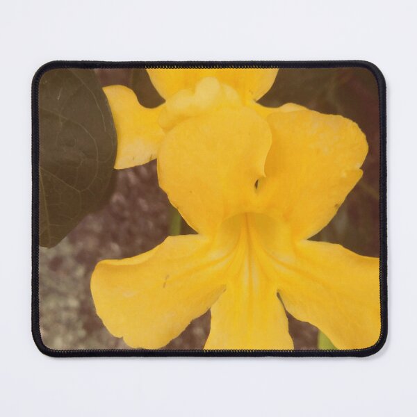 Item preview, Yellow flower  ( Photography ) designed and sold by Paint84.