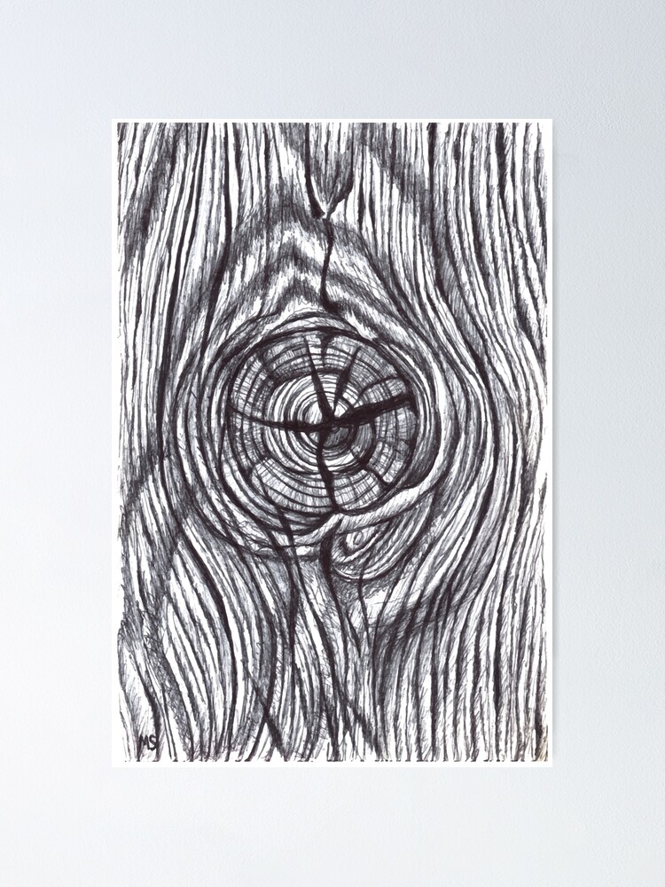 Sketch-Rose Wood – Gazing Far