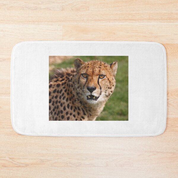 Item preview, Cheetah 3 designed and sold by SWEEPER.