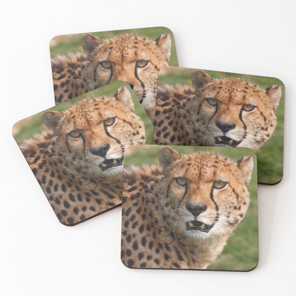 Item preview, Cheetah 3 designed and sold by SWEEPER.