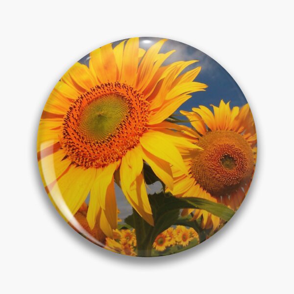 Artikelvorschau, Sunflower morning 2 entworfen und verkauft von SWEEPER.