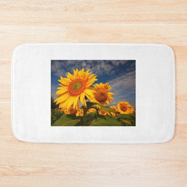 Artikelvorschau, Sunflower morning 2 entworfen und verkauft von SWEEPER.