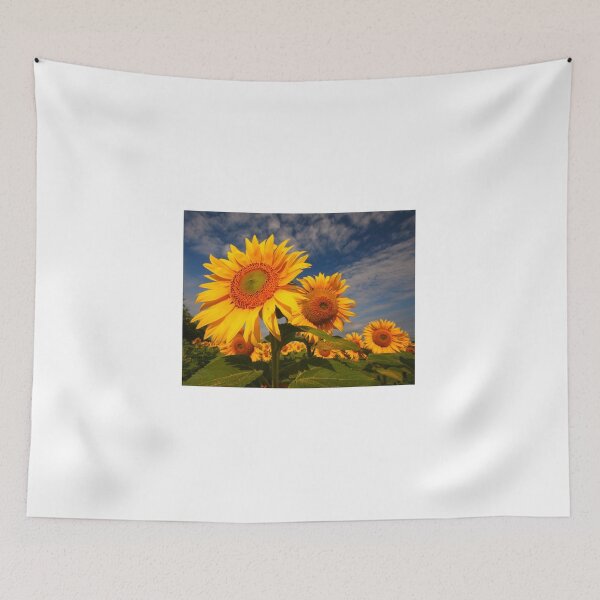 Artikelvorschau, Sunflower morning 2 entworfen und verkauft von SWEEPER.