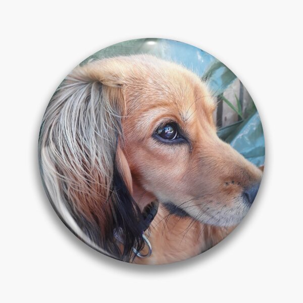 Item preview, Brown dog designed and sold by Eleonora Tschudin.