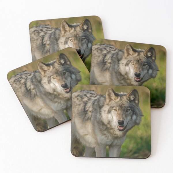 Item preview, Timber Wolf designed and sold by Michael Cummings.