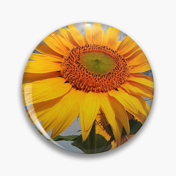 Aperçu de l'œuvre Matin de tournesol créée et vendue par SWEEPER.