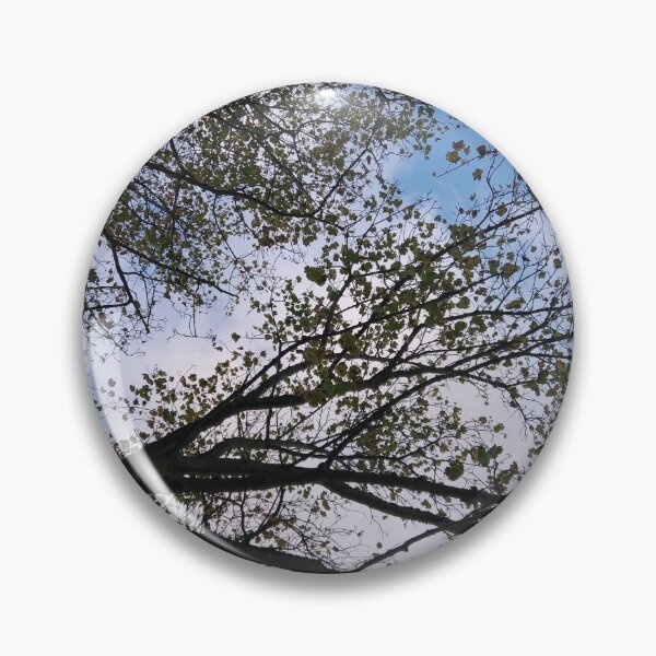 Item preview, Gazing up through the treetops designed and sold by CrowFriend.