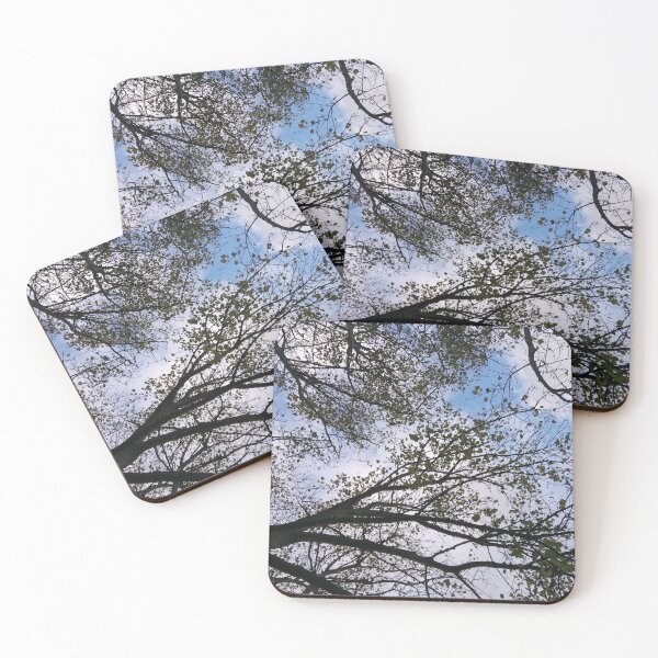 Item preview, Gazing up through the treetops designed and sold by CrowFriend.