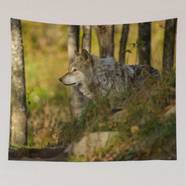 Item preview, Timber Wolf designed and sold by Michael Cummings.
