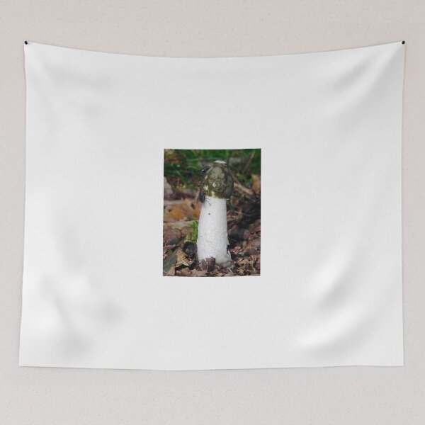 Item preview, Stinkhorn with friends designed and sold by SWEEPER.