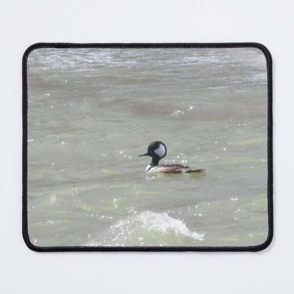 Item preview, A Hooded Merganser Driffting designed and sold by TheVioletWitch.