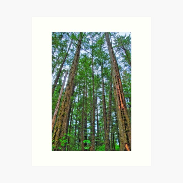 Item preview, Standing Tall designed and sold by Jennifer Hulbert-Hortman.