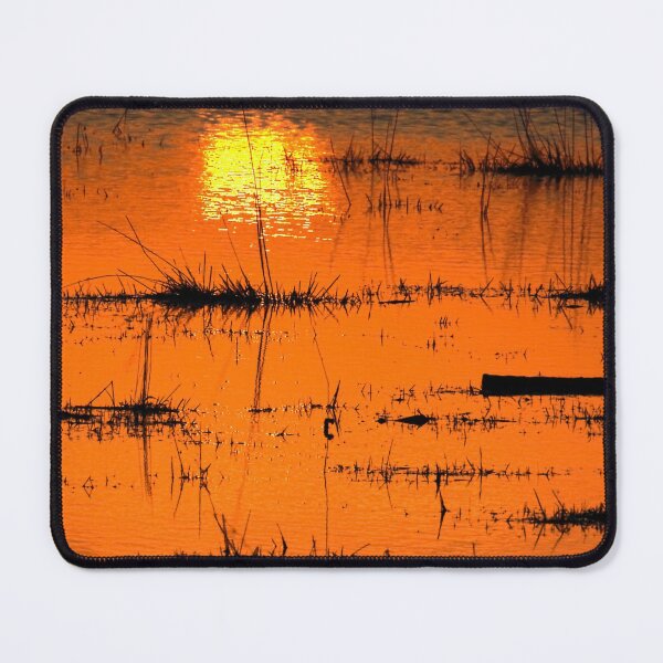 Item preview, Evening light designed and sold by SWEEPER.