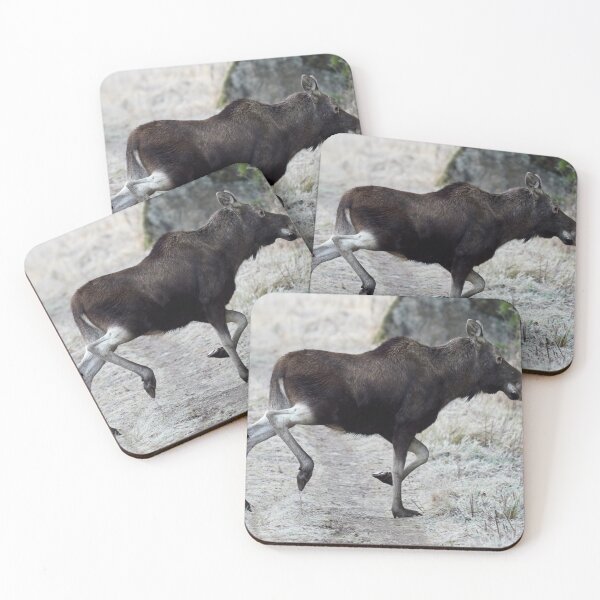 Item preview, Sideways. Elk designed and sold by Jouko Lehto Photography.