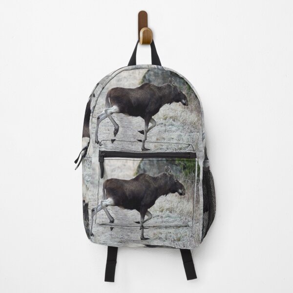 Item preview, Sideways. Elk designed and sold by Jouko Lehto Photography.