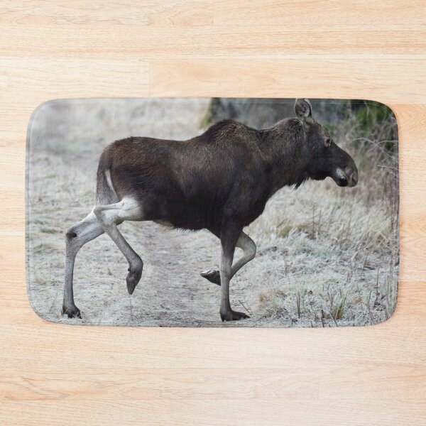 Item preview, Sideways. Elk designed and sold by Jouko Lehto Photography.