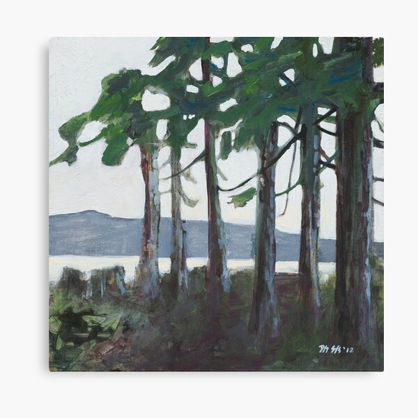 Item preview, Tofino View  designed and sold by Dylan Schultz.