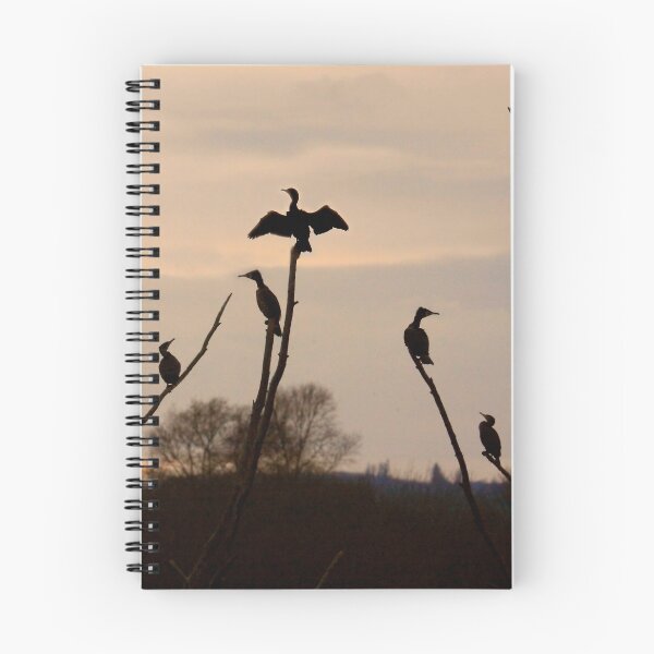 Item preview, Cormorants roost designed and sold by SWEEPER.