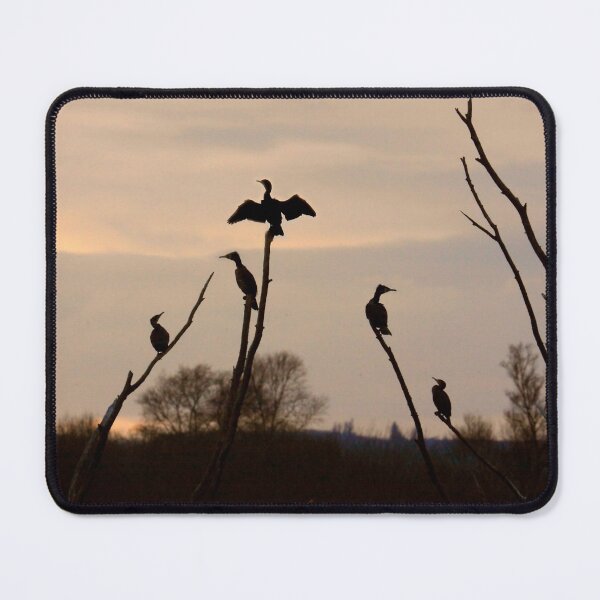 Item preview, Cormorants roost designed and sold by SWEEPER.