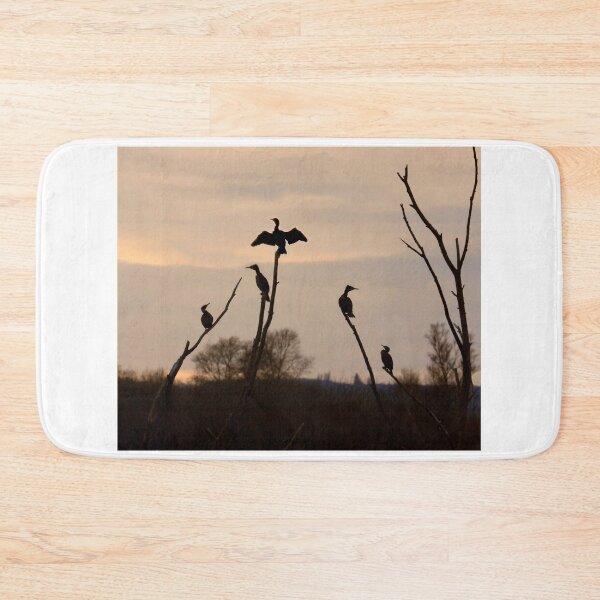 Item preview, Cormorants roost designed and sold by SWEEPER.