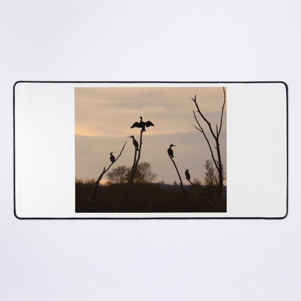 Item preview, Cormorants roost designed and sold by SWEEPER.