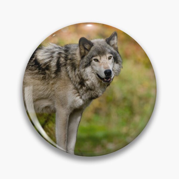 Item preview, Timber Wolf designed and sold by Michael Cummings.