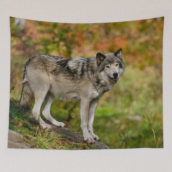 Item preview, Timber Wolf designed and sold by Michael Cummings.