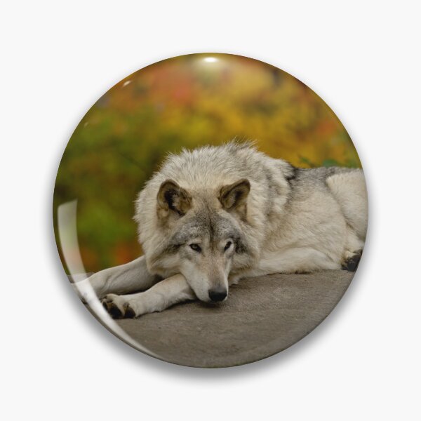 Item preview, Timber Wolf designed and sold by Michael Cummings.