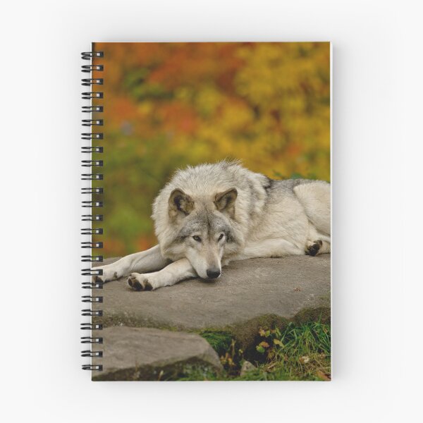 Item preview, Timber Wolf designed and sold by Michael Cummings.