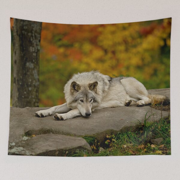 Item preview, Timber Wolf designed and sold by Michael Cummings.