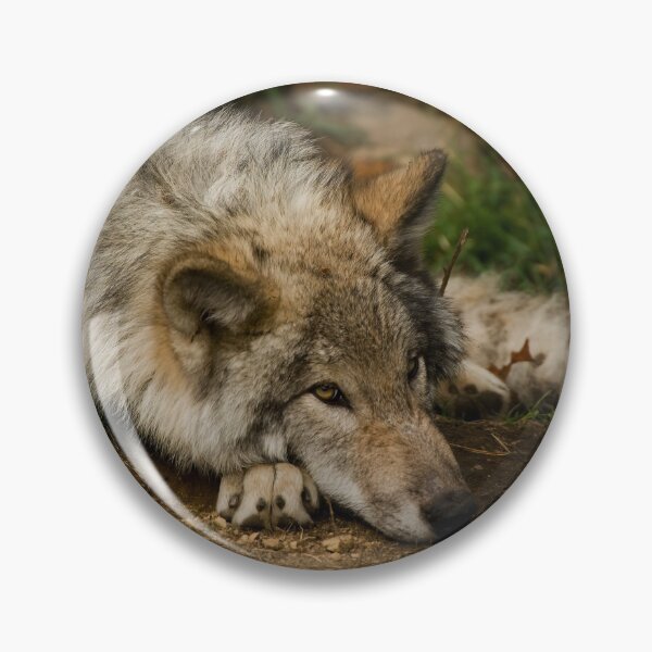 Item preview, Timber Wolf Pup designed and sold by Michael Cummings.