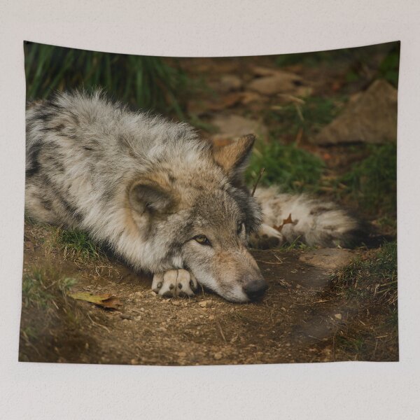 Item preview, Timber Wolf Pup designed and sold by Michael Cummings.