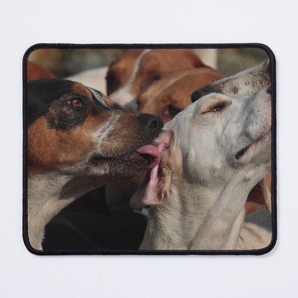 Item preview, More......More..... !! designed and sold by SWEEPER.