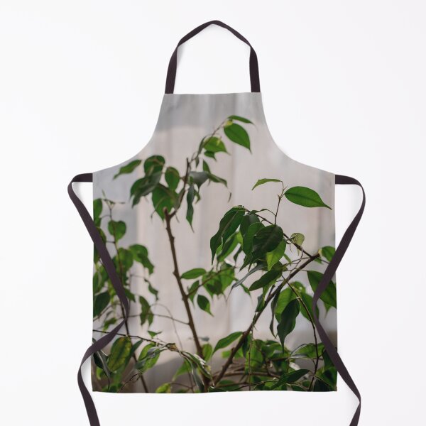 Item preview,  Ficus designed and sold by anstey.
