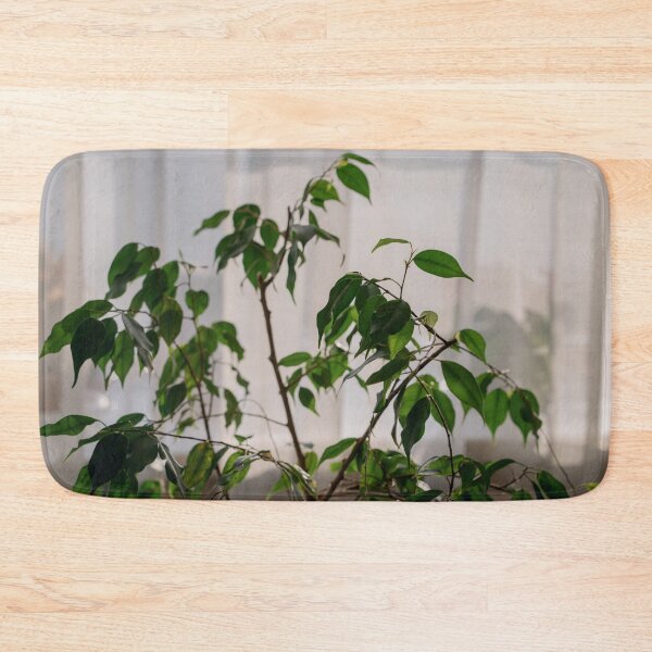 Item preview,  Ficus designed and sold by anstey.