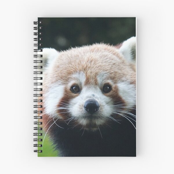 Item preview, Red panda, best friends designed and sold by Palmyr.