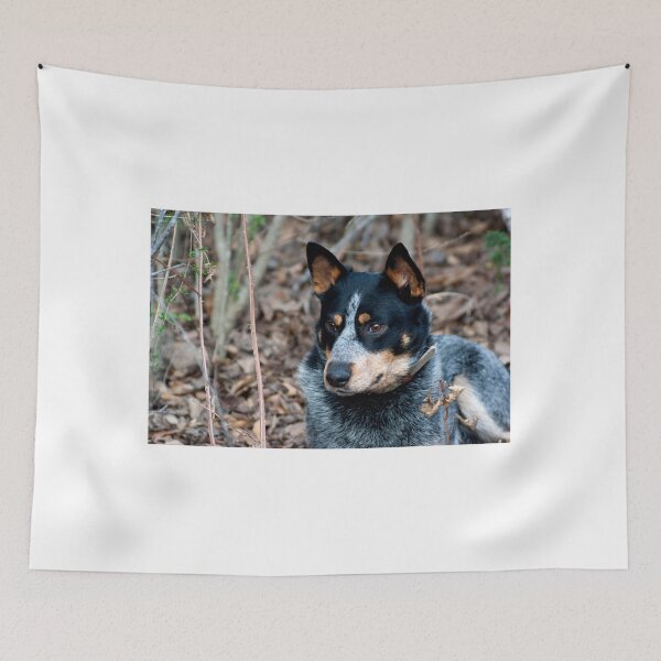 Item preview, Blue Healer Friend designed and sold by pcfyi.