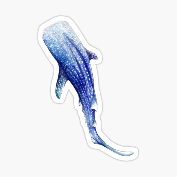 Whale Shark Sticker
