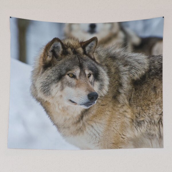 Item preview, Timber Wolves designed and sold by Michael Cummings.