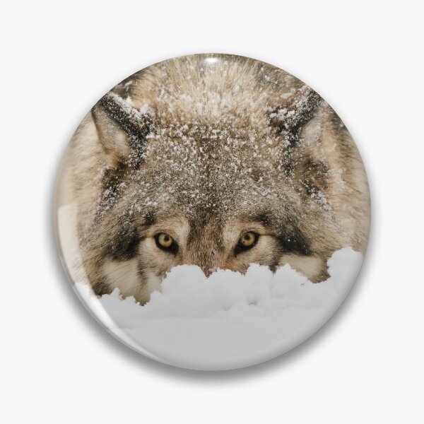 Item preview, Whose The Pretty Puppy? designed and sold by Michael Cummings.