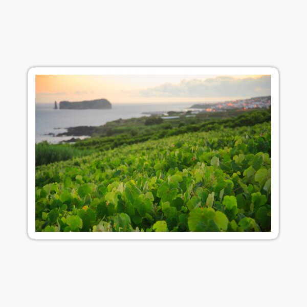 Item preview, Grapevines and islet designed and sold by Gaspar Avila.